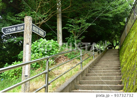 三島市　箱根旧街道西坂の題目坂道しるべと新緑 93732732