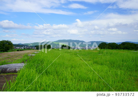 夏の終わりの奈良平城京跡・第二次大極殿から若草山方面 夏の終わりの奈良平城京跡・第二次大極殿から若草山方面 93733572