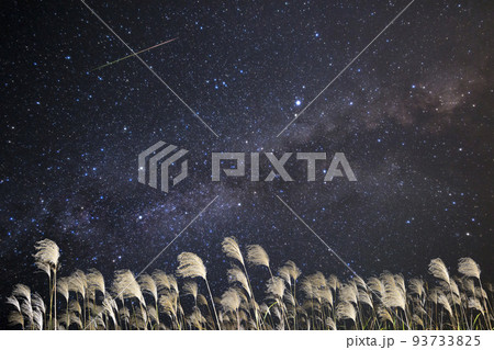 ススキと天の川と流れ星 ススキと天の川と流れ星 93733825