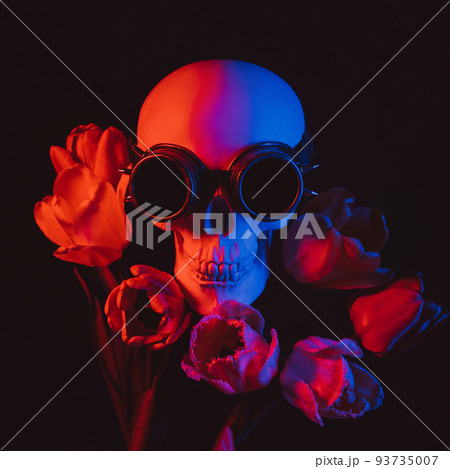 human skull in steampunk glasses in tulip flowers with red and blue neon light human skull in steampunk glasses in tulip flowers with red and blue neon light 93735007