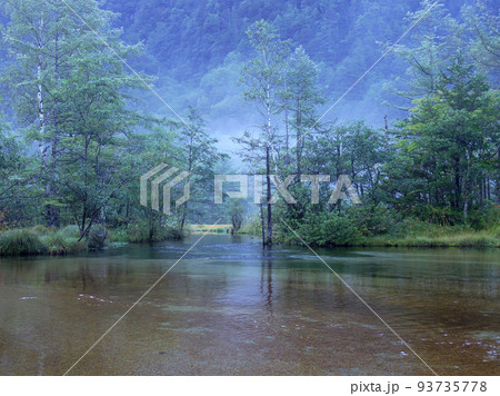 朝もやの田代池 93735778