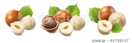 Groups of hazelnuts isolated on white background. Peeled, whole and broken nuts collection 93736537