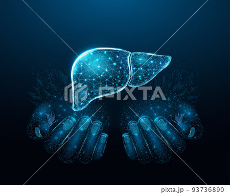 Two human hands are holds human liver. Support healthy liver concept. Wireframe glowing low poly design on dark blue background. Abstract futuristic vector illustration. Two human hands are holds human liver. Support healthy liver concept. Wireframe glowing low poly design on dark blue background. Abstract futuristic vector illustration. 93736890