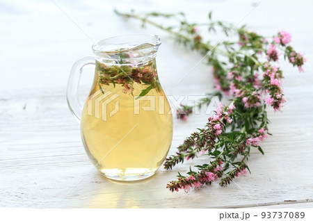 Herbal tea in glass with fresh flowers of hyssopus, lat. Hyssopus officinalis Herbal tea in glass with fresh flowers of hyssopus, lat. Hyssopus officinalis 93737089