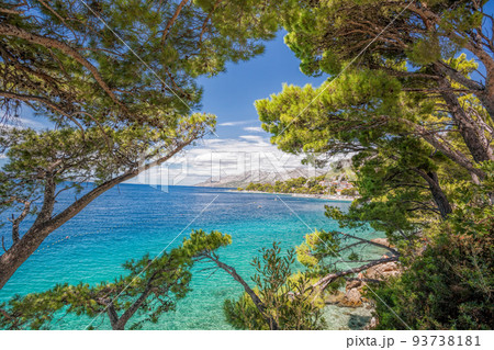 View of Croatian coast with pine trees in Brela, Makarska, Dalmatia, Croatia 93738181