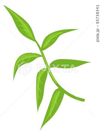 Herb icon. Green branch. Cartoon natural plant Herb icon. Green branch. Cartoon natural plant 93738341