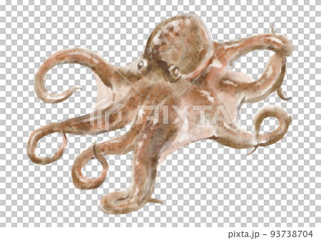 Octopus Tentacle 01
