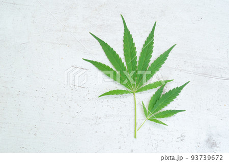 cannabis treatment concept cannabis treatment concept 93739672