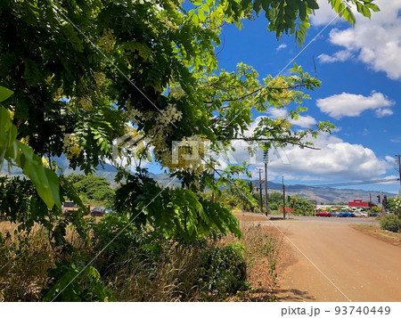 『ハワイ』ハレイワタウンの風景 93740449