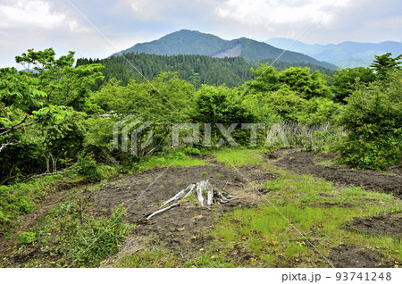 西丹沢の湯船山稜コース　樹下の二人より白クラノ頭を望む 93741248