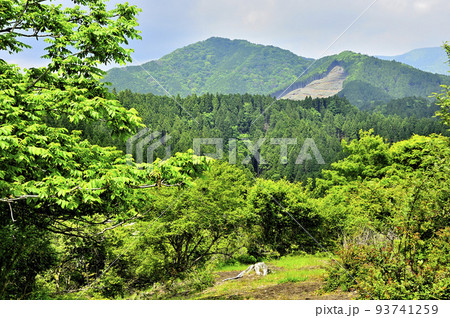 西丹沢の湯船山稜コース 樹下の二人より白クラノ頭を望む 西丹沢の湯船山稜コース 樹下の二人より白クラノ頭を望む 93741259