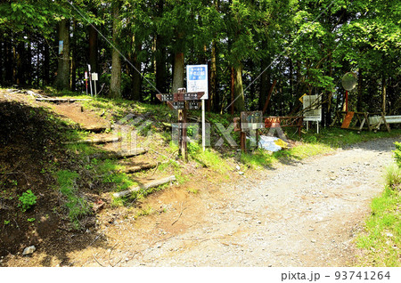 西丹沢の世附峠 93741264