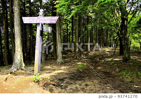 西丹沢の不老山山頂 南峰 西丹沢の不老山山頂 南峰 93741270