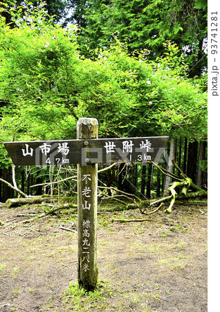 西丹沢の不老山北峰 サンショウバラが咲く山頂 西丹沢の不老山北峰 サンショウバラが咲く山頂 93741281