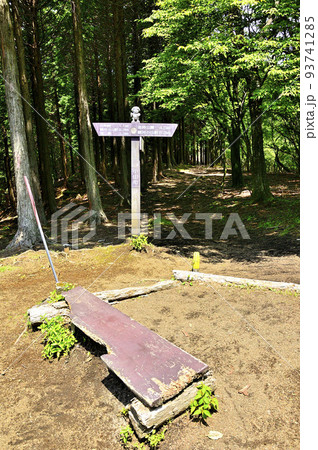 西丹沢の不老山山頂 南峰の分岐 西丹沢の不老山山頂 南峰の分岐 93741285
