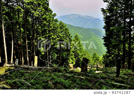 西丹沢の不老山　不老の活路コースより大野山を望む 93741287
