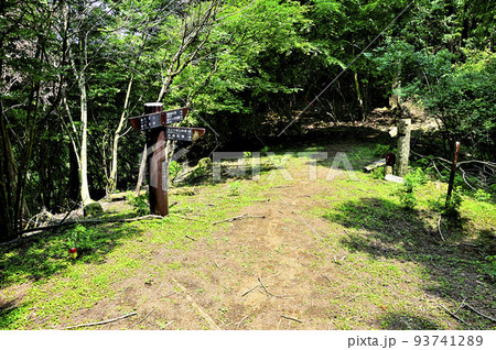 西丹沢の不老山　不老の活路コース　生土山分岐 93741289