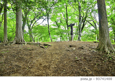 西丹沢の湯船山山頂 新緑の森 西丹沢の湯船山山頂 新緑の森 93741400
