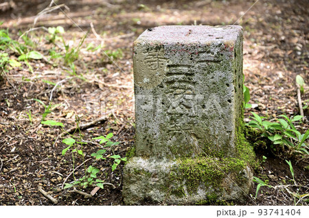 西丹沢の湯船山山頂 二等三角点(湯船村) 西丹沢の湯船山山頂 二等三角点(湯船村) 93741404
