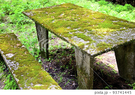 西丹沢の湯船山稜コース　峰坂峠の苔生すベンチ 93741445