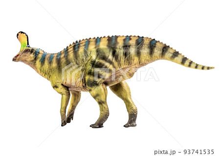 Tsintaosaurus Spinorhinus Dinosaur on white isolate background Clipping path Tsintaosaurus Spinorhinus Dinosaur on white isolate background Clipping path 93741535