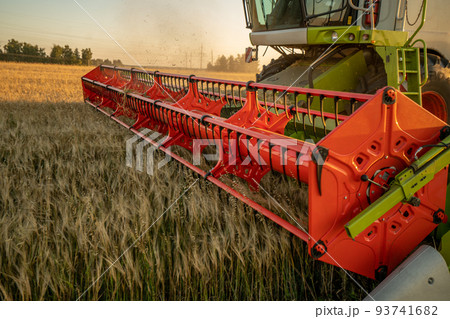 grain harvesting, close-up Reaper cuts the spikelets grain harvesting, close-up Reaper cuts the spikelets 93741682