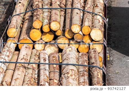 Close-up view railway sorting station with many transportation rail carriage. Railroad car wooden timber log and gas tanks logistics. Raw wood heating material transportation. Freight cargo transport Close-up view railway sorting station with many transportation rail carriage. Railroad car wooden timber log and gas tanks logistics. Raw wood heating material transportation. Freight cargo transport 93742127