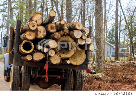 A huge powerful truck with platforms, carrying a bunch of large logs A huge powerful truck with platforms, carrying a bunch of large logs 93742138