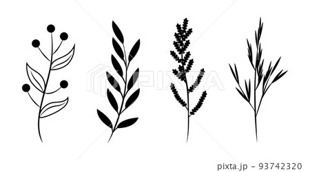 Floral set of hand drawn botanic elements. Vector Floral set of hand drawn botanic elements. Vector 93742320