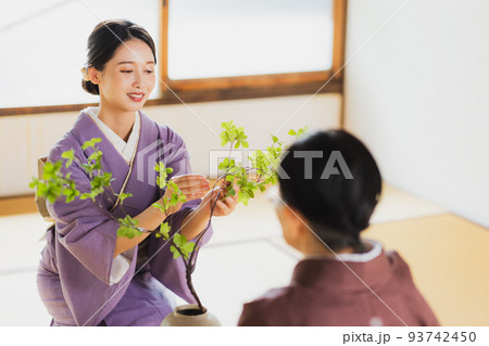和室　着物　習い事　 93742450