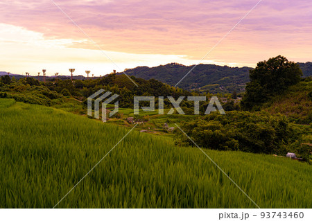 下赤坂の棚田の夕景 下赤坂の棚田の夕景 93743460