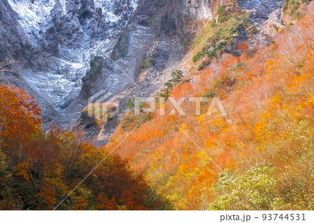 紅葉と岩壁 93744531