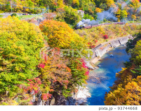 紅葉の諏訪峡と蒸気機関車 93744668