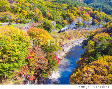 黄葉に染まる諏訪峡とSLみなかみ 93744673