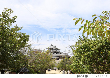 松山城　愛媛県 93745323