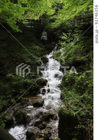 付知峡　岐阜県中津川 93746356
