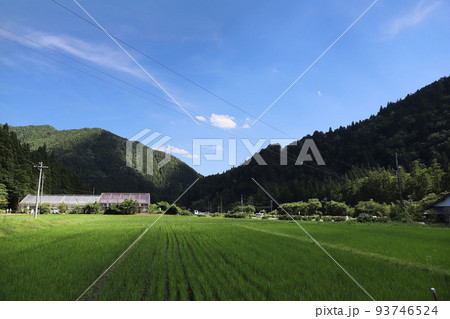モネの池　板取村　岐阜県関市 93746524