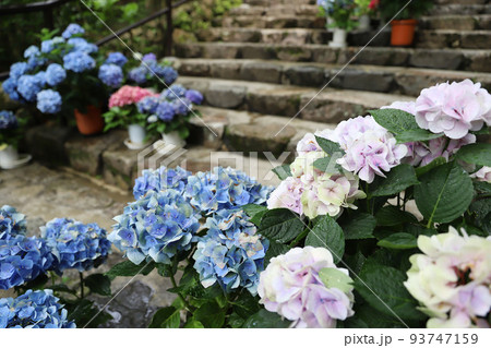 長谷寺 奈良県 長谷寺 奈良県 93747159
