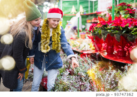 Portrait of woman and her teenage daughter choosing Christmas bouquet of flowers at fair 93747362