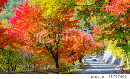 箕輪町・もみじ湖の紅葉 93747461