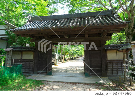 鳥取東照宮(旧・樗谿神社) 神門と木漏れ日 鳥取県鳥取市 鳥取東照宮(旧・樗谿神社) 神門と木漏れ日 鳥取県鳥取市 93747960