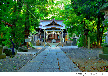 代々木八幡宮  夏越の祓の風景 93748048