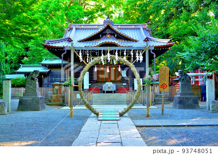 代々木八幡宮 夏越の祓の風景 代々木八幡宮 夏越の祓の風景 93748051