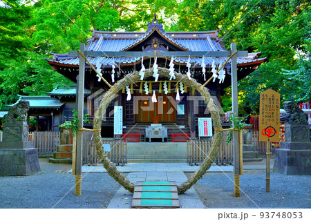 代々木八幡宮 夏越の祓の風景 代々木八幡宮 夏越の祓の風景 93748053