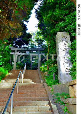 代々木八幡宮 夏越の祓の風景 代々木八幡宮 夏越の祓の風景 93748196