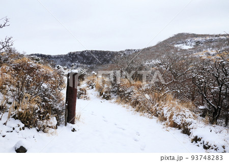 雪山の大浪池の自然 93748283