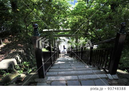 源頼朝墓への石段 93748388