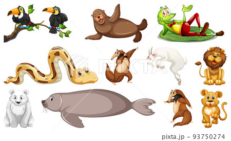 Different wild animals on white background 93750274