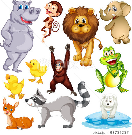 Cute animals cartoon set on white background Cute animals cartoon set on white background 93752257
