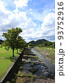 滋賀県の希望ヶ丘公園の自然風景、植物、環境、緑【8月】 93752916